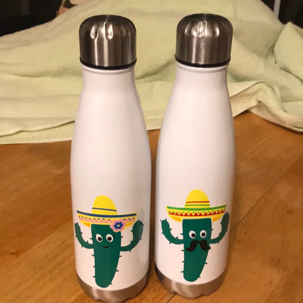 Set of 2 Stainless Steel Thermos with Vinyl Cactus